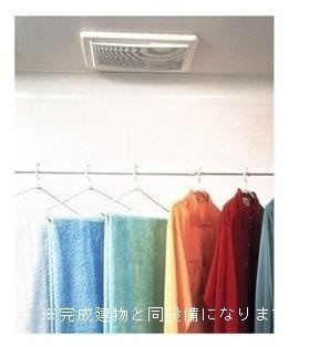 【その他】 | アンバー