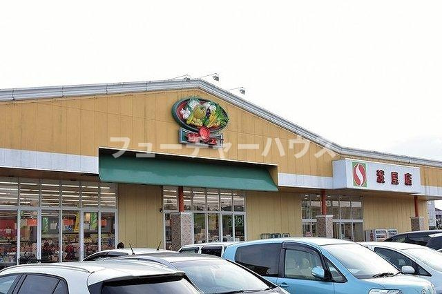 サンライト　レジデンス水戸　Ｂの周辺|サンユーストアー渡里店まで450m