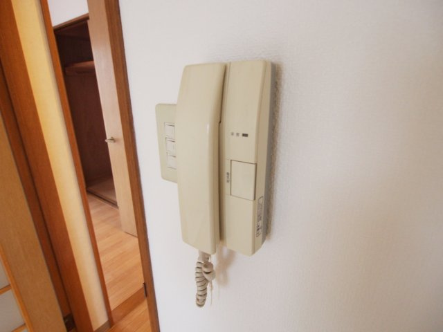 パレドゥロセアンのセキュリティ