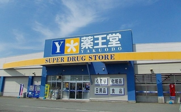 アビタシオンＦ・Ｈの周辺|薬王堂　サンフェスタ店まで1100m