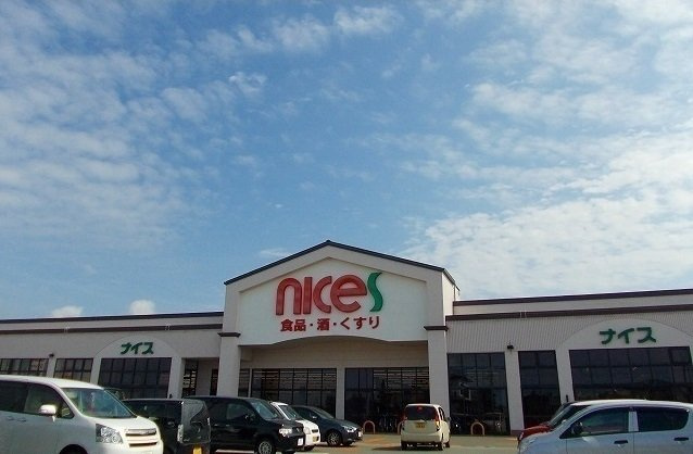 サニーハウスⅡの周辺|ナイス　仁井田南店まで1200m