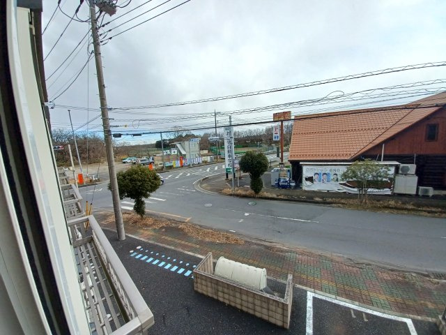 ステラの展望