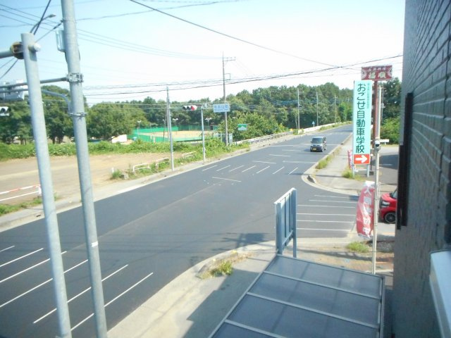 ステラの展望