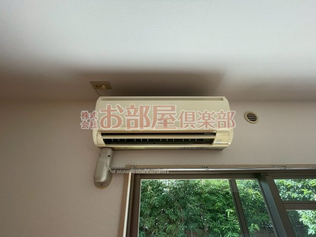 プリマヴェーラ花の木の設備