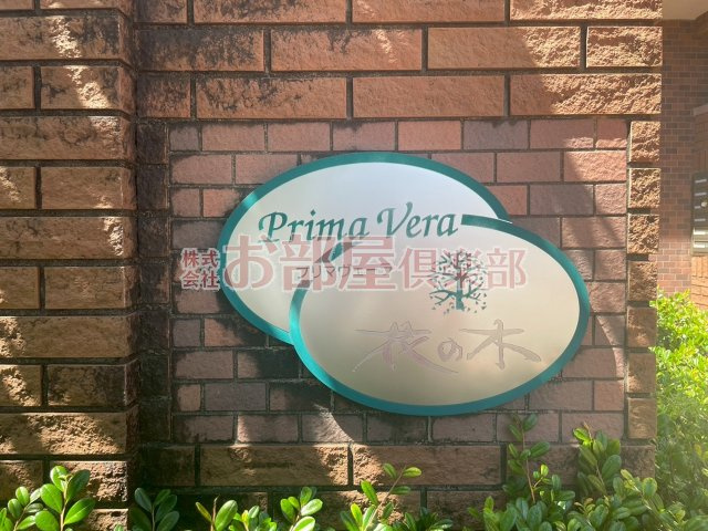 プリマヴェーラ花の木のその他