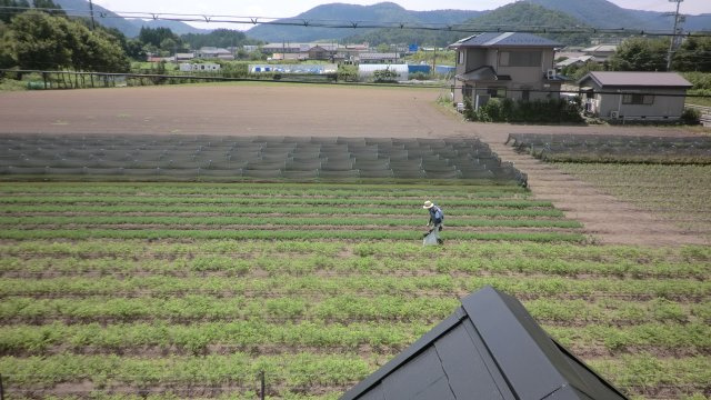 【展望】 | (仮称）京丹波町蒲生蒲生野貸家