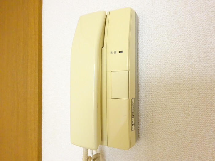 カーサイズミのその他