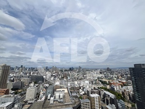 メトライズタワー大阪上本町　真田山小学校区の展望|メトライズタワー大阪上本町　眺望