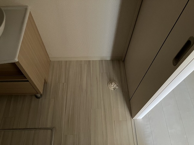 フジパレス末広町Ⅱ番館の洗面所