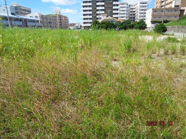 南上原43街区の外観