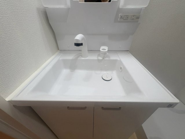 GoodLife　小阪本町の洗面所
