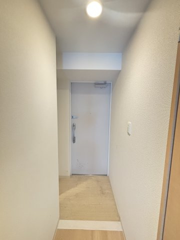 グレイス難波南の玄関