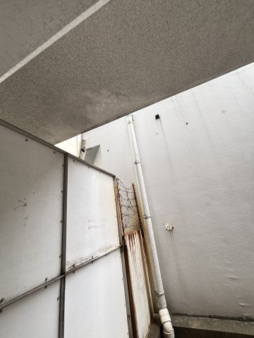 パークアベニューけやき通りの展望