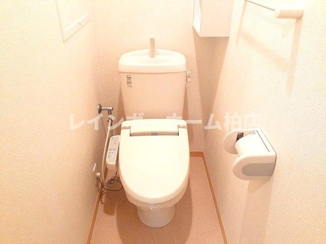 【仲介手数料：50％OFF】対象物件！のトイレ|トイレです
