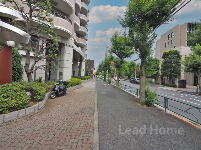 【その他】 | 朝日マンション駒場 | 前面道路