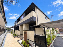 コテポルトの画像
