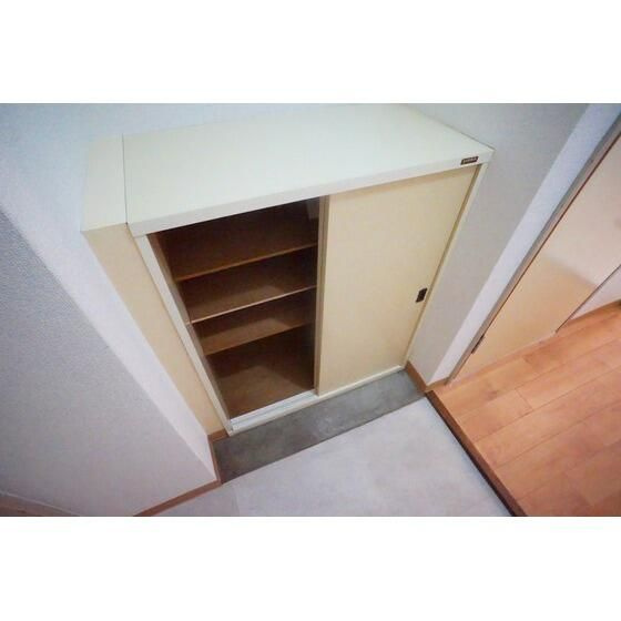 厚木市旭町１丁目の賃貸マンションの玄関