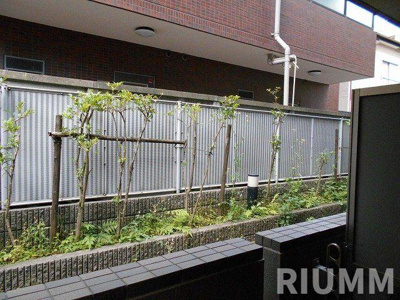 【展望】 | ルーブル渋谷松濤
