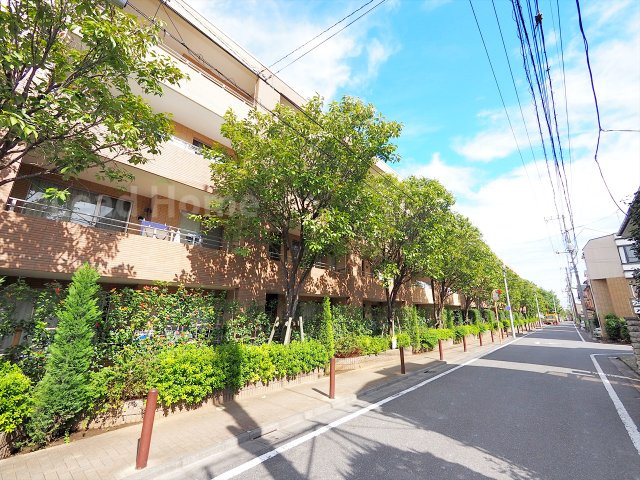 【その他】 | マスターズガーデン世田谷桜 | 前面道路