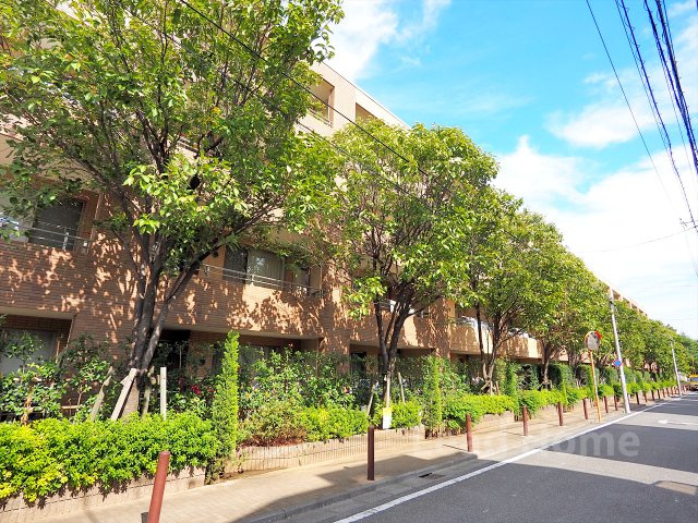 【外観】 | マスターズガーデン世田谷桜