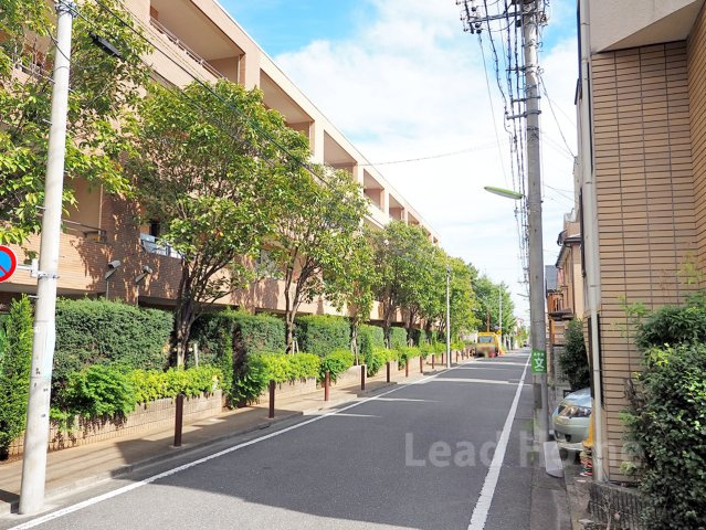 【その他】 | マスターズガーデン世田谷桜 | 前面道路
