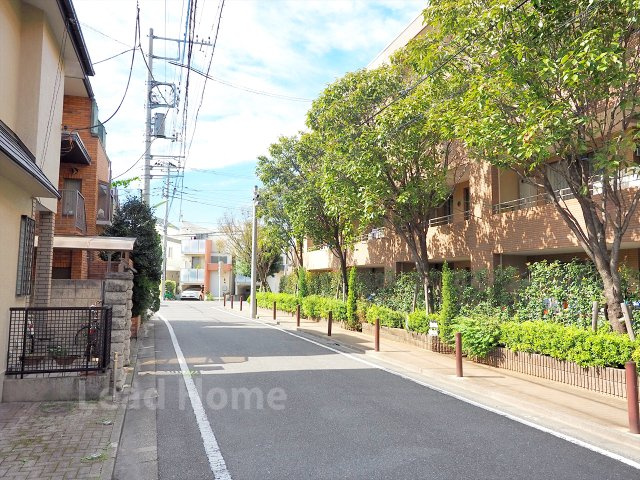 【その他】 | マスターズガーデン世田谷桜 | 前面道路