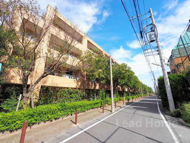 【その他】 | マスターズガーデン世田谷桜 | 前面道路