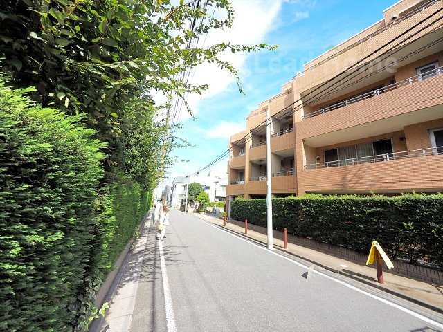 【その他】 | マスターズガーデン世田谷桜 | 前面道路