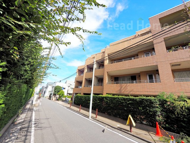 【その他】 | マスターズガーデン世田谷桜 | 前面道路
