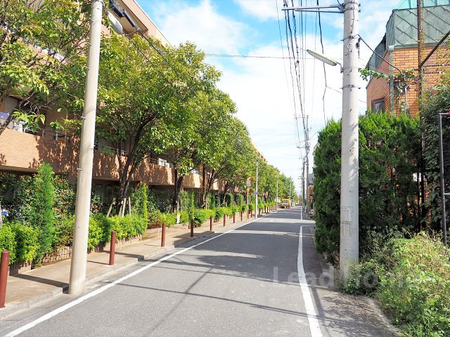 【その他】 | マスターズガーデン世田谷桜 | 前面道路