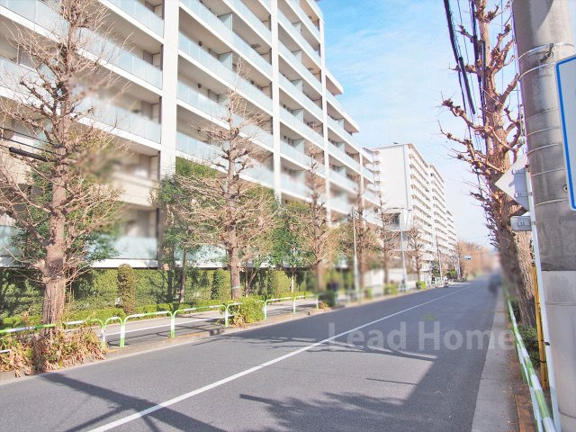 【その他】 | クラッシィハウス世田谷公園 | 前面道路