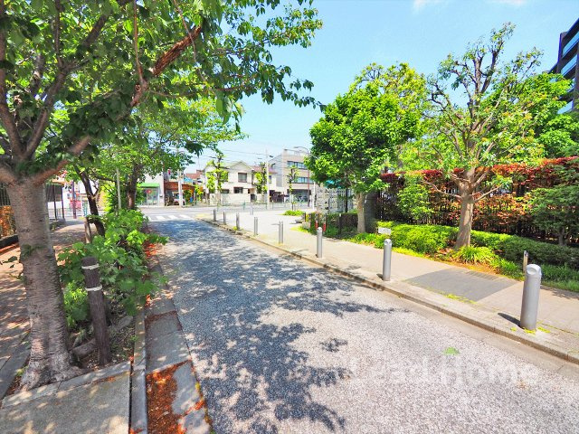 【その他】 | グランドヒルズ三軒茶屋ヒルトップガーデンＣ棟 | 前面道路