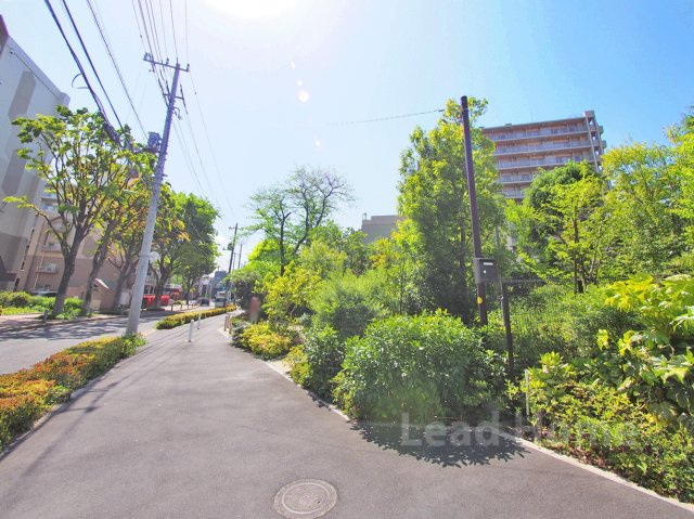 【その他】 | パークナード経堂 | 前面道路