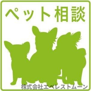 Casa　Aliceのその他