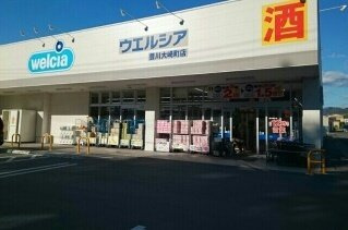 カーサ・デル・アモーレＥの周辺|ウエルシア豊川大崎町店様まで700m