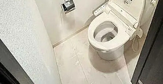 グラントゥルース氷川台のトイレ