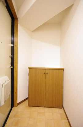 熊本市中央区黒髪２丁目の賃貸マンションのキッチン|お料理しやすいキッチンです