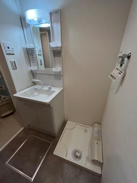 クレスタ鴨居の洗面所