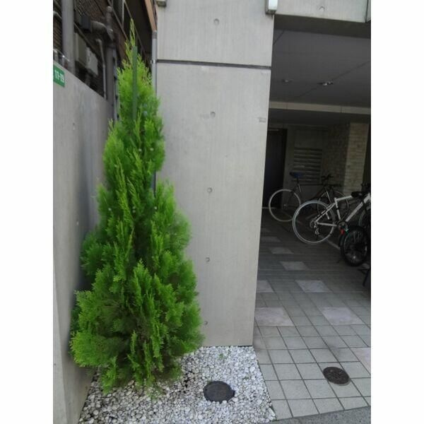 ＭＯＤＵＬＯＲ　豊島園