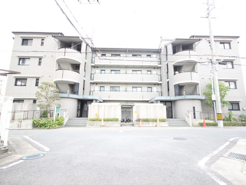 アムールツジタ