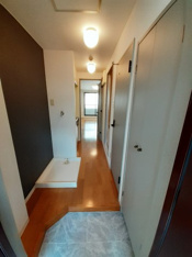明るい玄関です