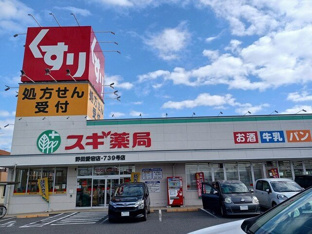スギ薬局野田愛宕店まで1542m