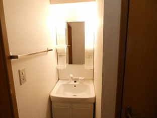 忙しい朝には欠かせない洗面所です