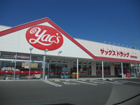 ヤックスドラッグ市原青柳店まで1000m