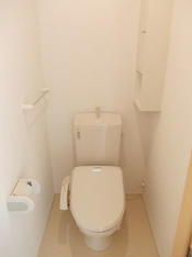 落ち着いた色調のトイレです