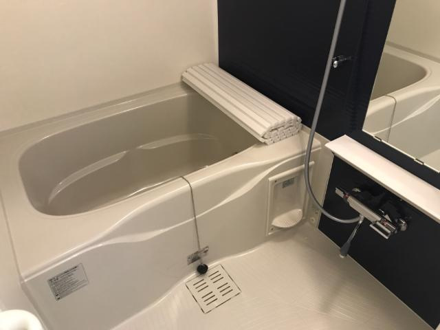 バス