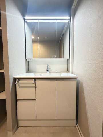 パデシオン桃山の洗面所