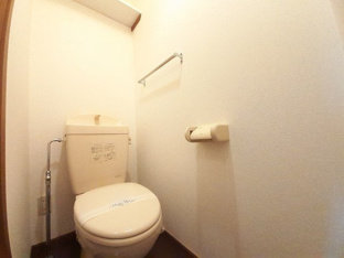落ち着いた色調のトイレです