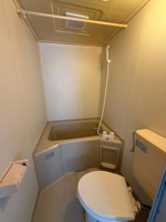 落ち着いたトイレです