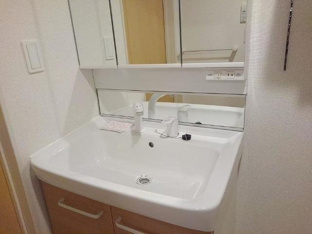 忙しい朝には欠かせない洗面所です